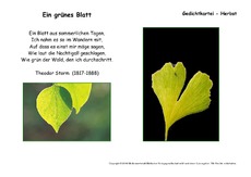 Ein-grünes-Blatt-Storm.pdf